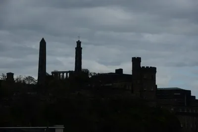 DSC_7319 (Large).JPG